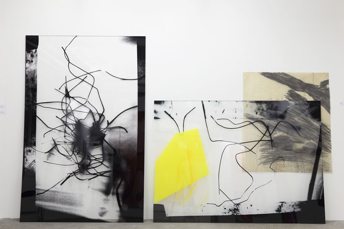 Claudia Thorban, Aronstab, 2014, Installation, Galerie Schacher, Digitaldruck auf Acrylglas, Zeichnung auf Transparentpapier