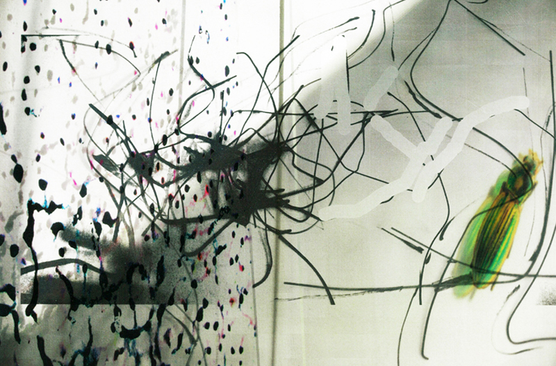 Ausstellung „Flower Power”, Claudia Thorban in der Galerie Schacher – Raum für Kunst, Juli 2012
