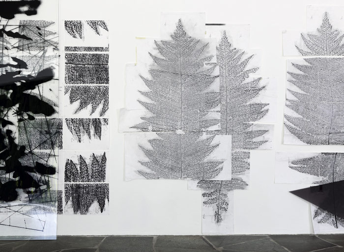 Claudia Thorban, Farn (Detail), Installation, Digitaldrucke auf Papier und Acrylglas, 200 x 350 cm, 2018, Städtische Galerie Neunkirchen