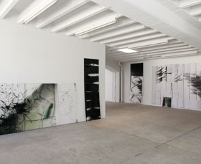 Claudia Thorban, Farn, 2012, Digitaldruck auf Acrylglas, Installation in der Galerie Schacher
