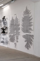 Claudia Thorban, Farn, 2012, Digitaldruck auf Acrylglas, Installation in der Galerie Schacher